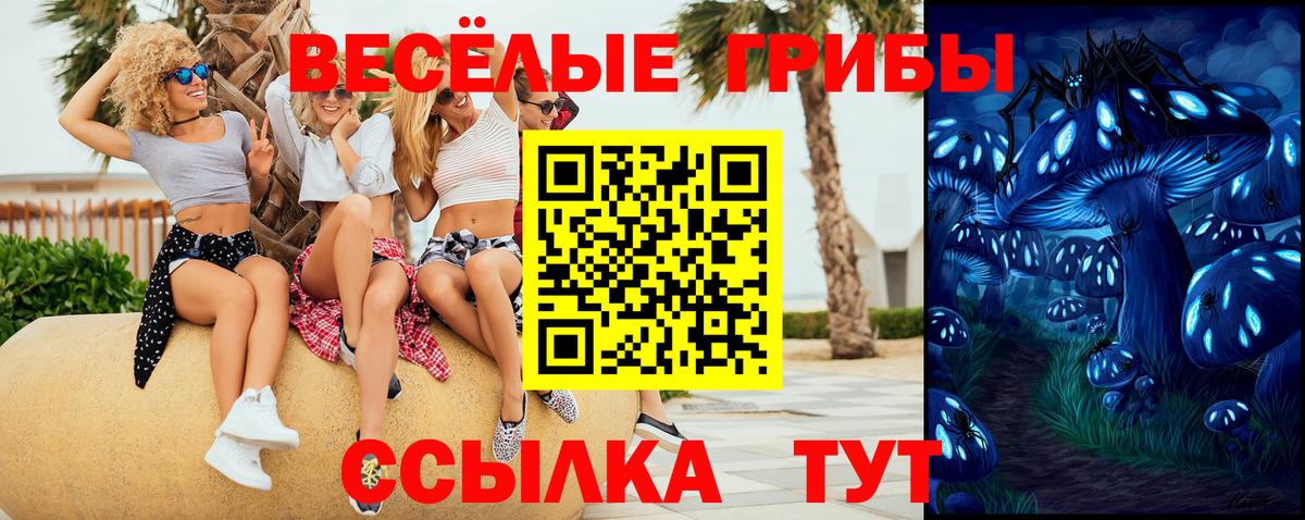 Тамбов  цены   Вход с VPN  Галлюциногенные грибы MAGIC MUSHROOMS 